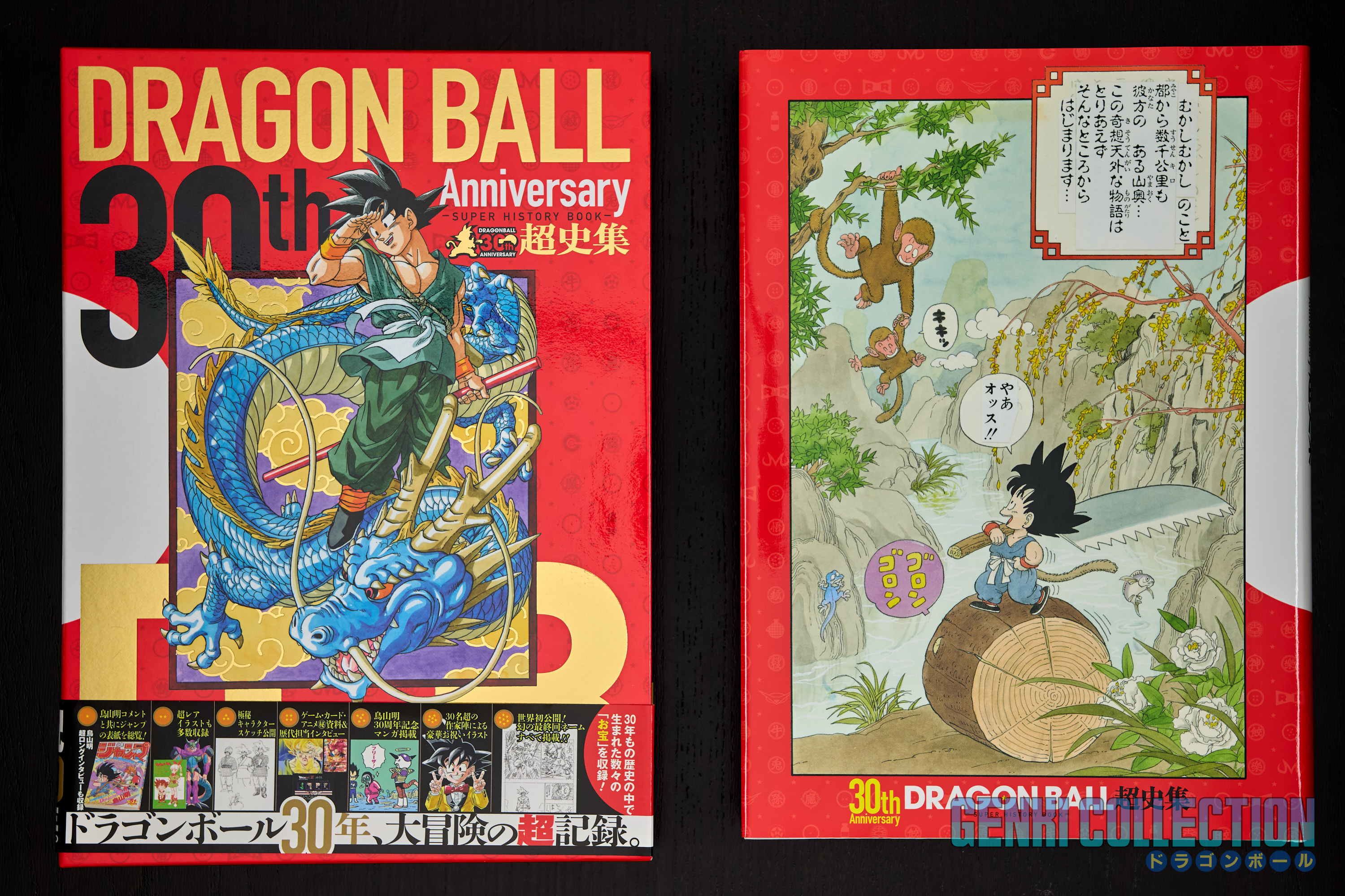 Dragon Ball Chôchishû Super History Book 30th Anniversary with slipcase and Obi (2016)